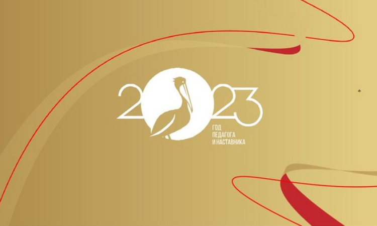 Библиотечные специалисты Новгородской области обсудили направления работы в Год педагога и наставника