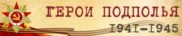 banner geroi