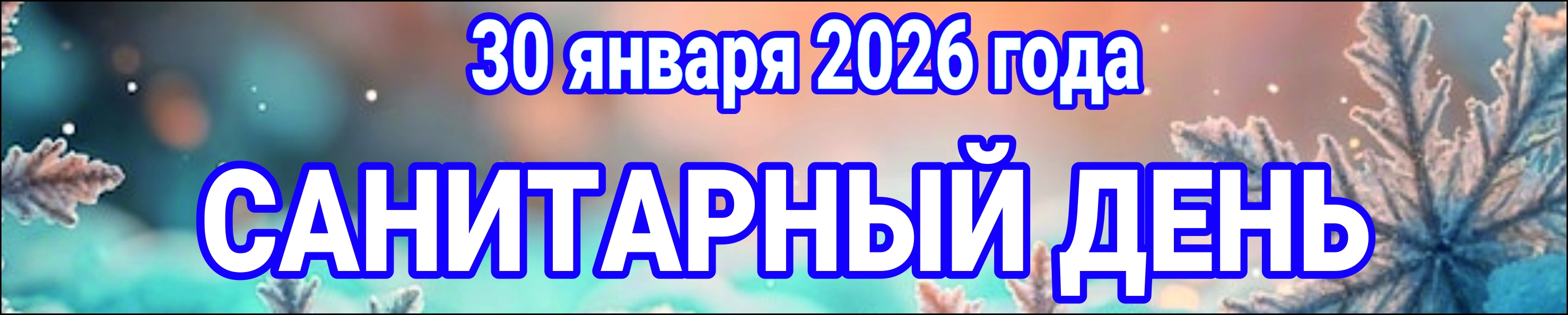 Санитарный день 30 января 2026 Санитарный день 30 января 2026