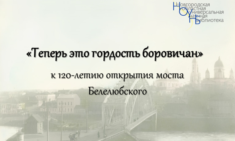 Книжно-иллюстративная выставка «Теперь это гордость боровичан»