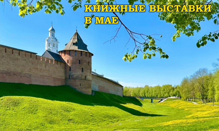 Книжные выставки - В МАЕ