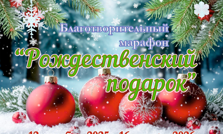 Акция «Рождественский подарок» в Областной библиотеке